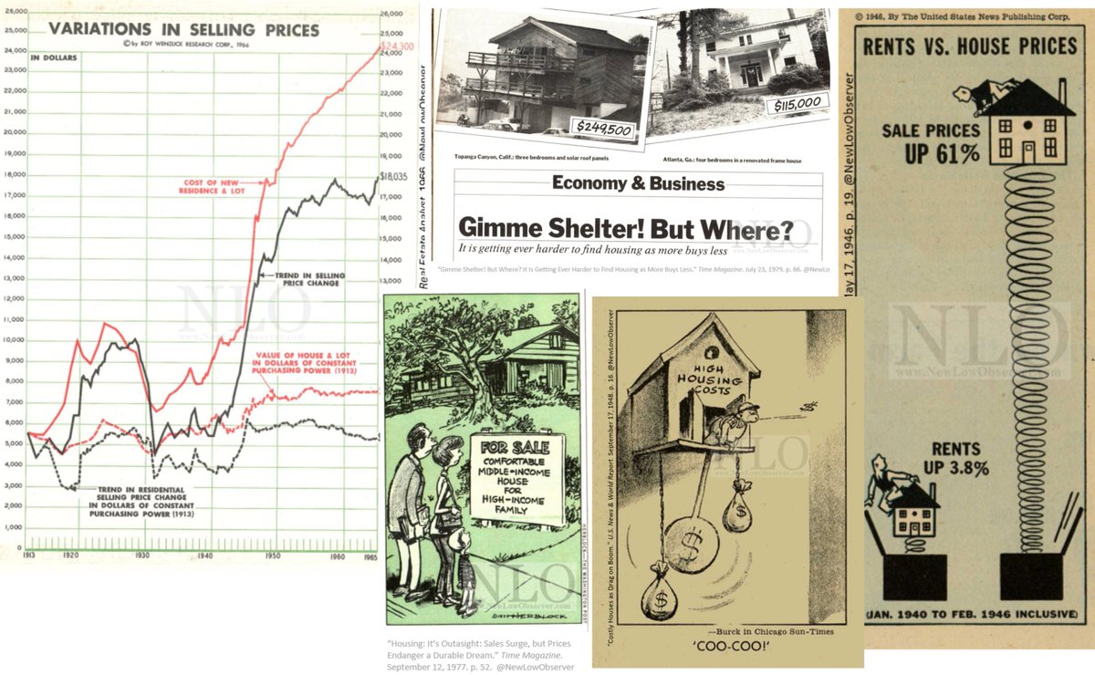 Cameron Murray tweet media