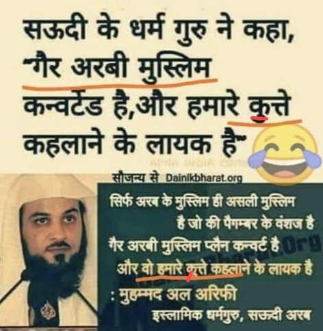 Shail Sara tweet media