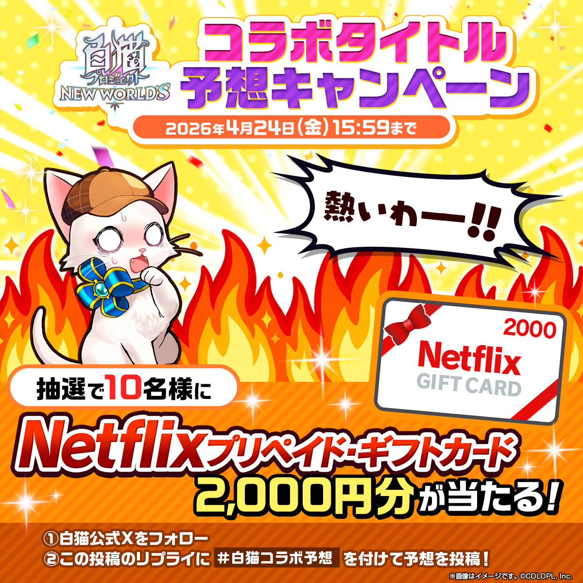 【公式】白猫プロジェクト NEW WORLD'S tweet media