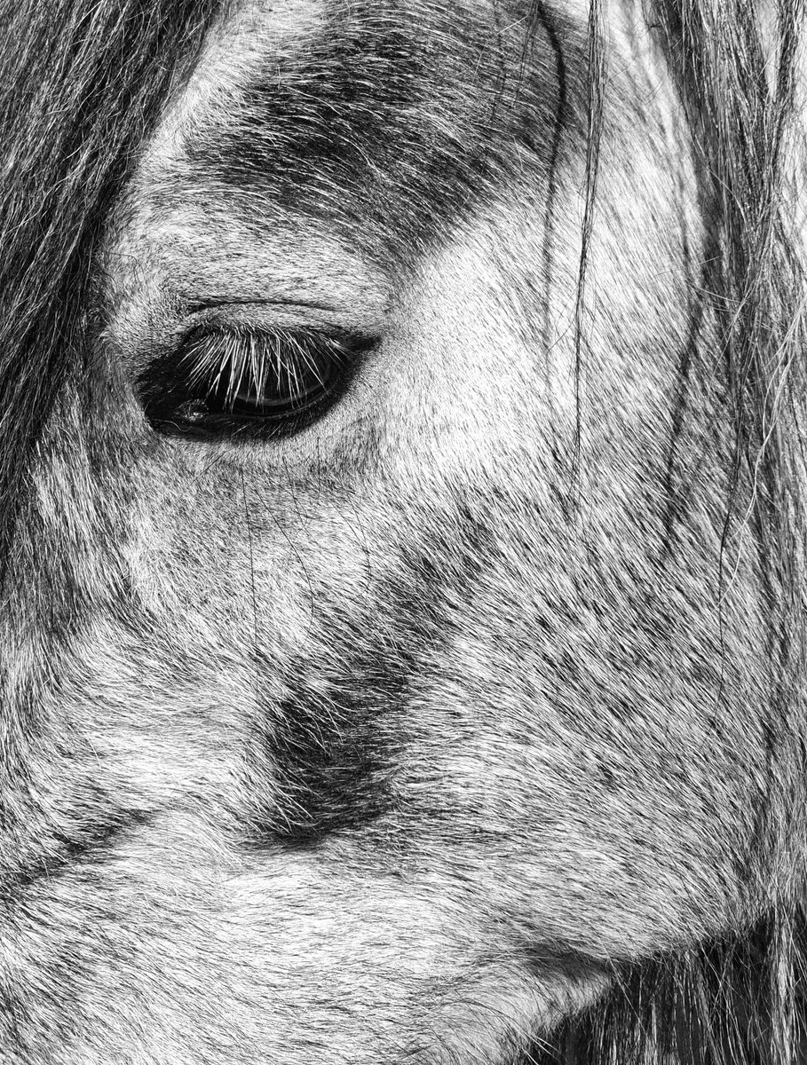 Solidbond tweet media