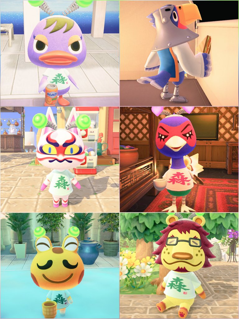 mharukart's tweet image. 観光客&amp;amp;キャンプサイト🏝️
スミモモ🦆ギンカク🦅
かぶきち🐈‍⬛ケイン🐦
ハルマキ🐸リック🦁
かぶきちが歌舞伎過ぎておもしろい🤭
#あつ森 #どうぶつの森 #ACNH 
#AnimalCrossing #NintendoSwitch