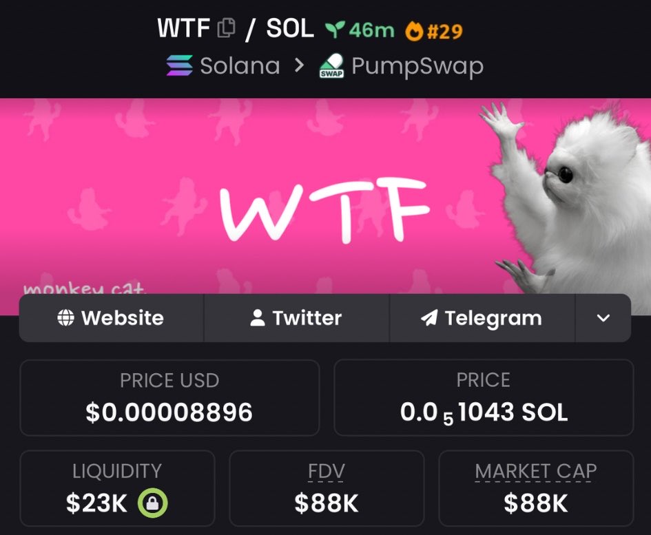 FomoChemist's tweet image. Spotlighted $WTF at $88K Mcap in my private Tg

WTF69x41ZbgyxCCXi6qpyLyDZdPpv5yRSLpga8JQ5cR

#WTF #memecoin