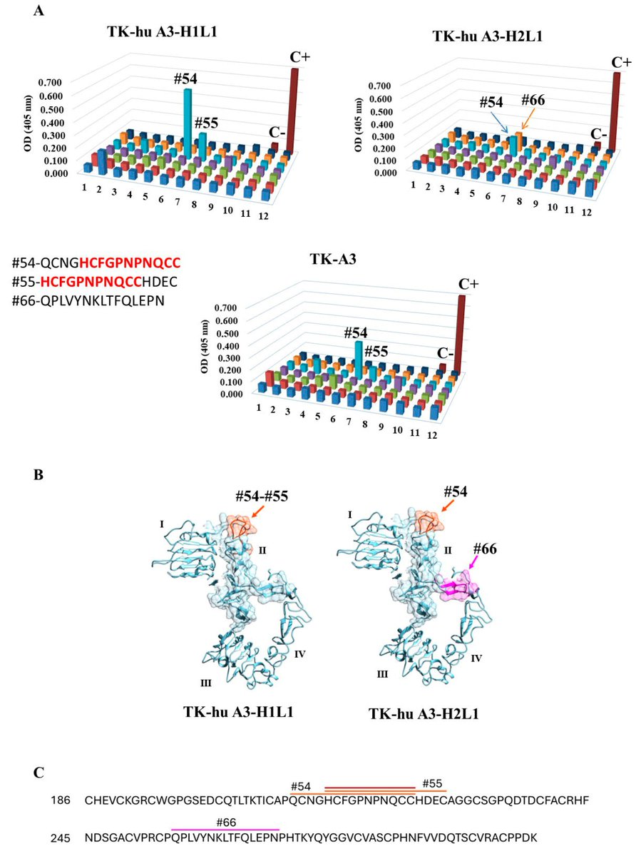 Antibodies_MDPI's tweet image. Glad to share this paper @MediPharma_MDPI 
 
"Novel Humanized Anti-HER3 #Antibodies: Structural #Characterization and  #Therapeutic Activity" 
 
mdpi.com/2073-4468/14/4…