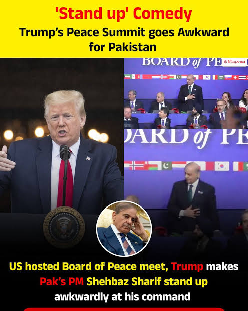 Kameshwar tweet media