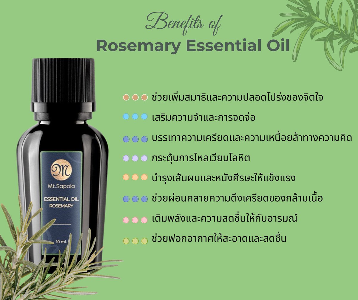 MtSapolaSpa's tweet image. 🌿 ประโยชน์ 8 อย่างของ Rosemary Essential Oil
Nature • Focus • Vitality
#mtsapola #Aromatherapy #EssentialOil #Rosemary

🔗 mtsapolaonline.com