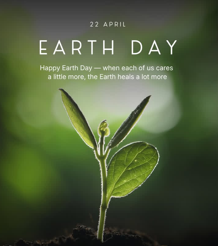 Jewel 💎 tweet media