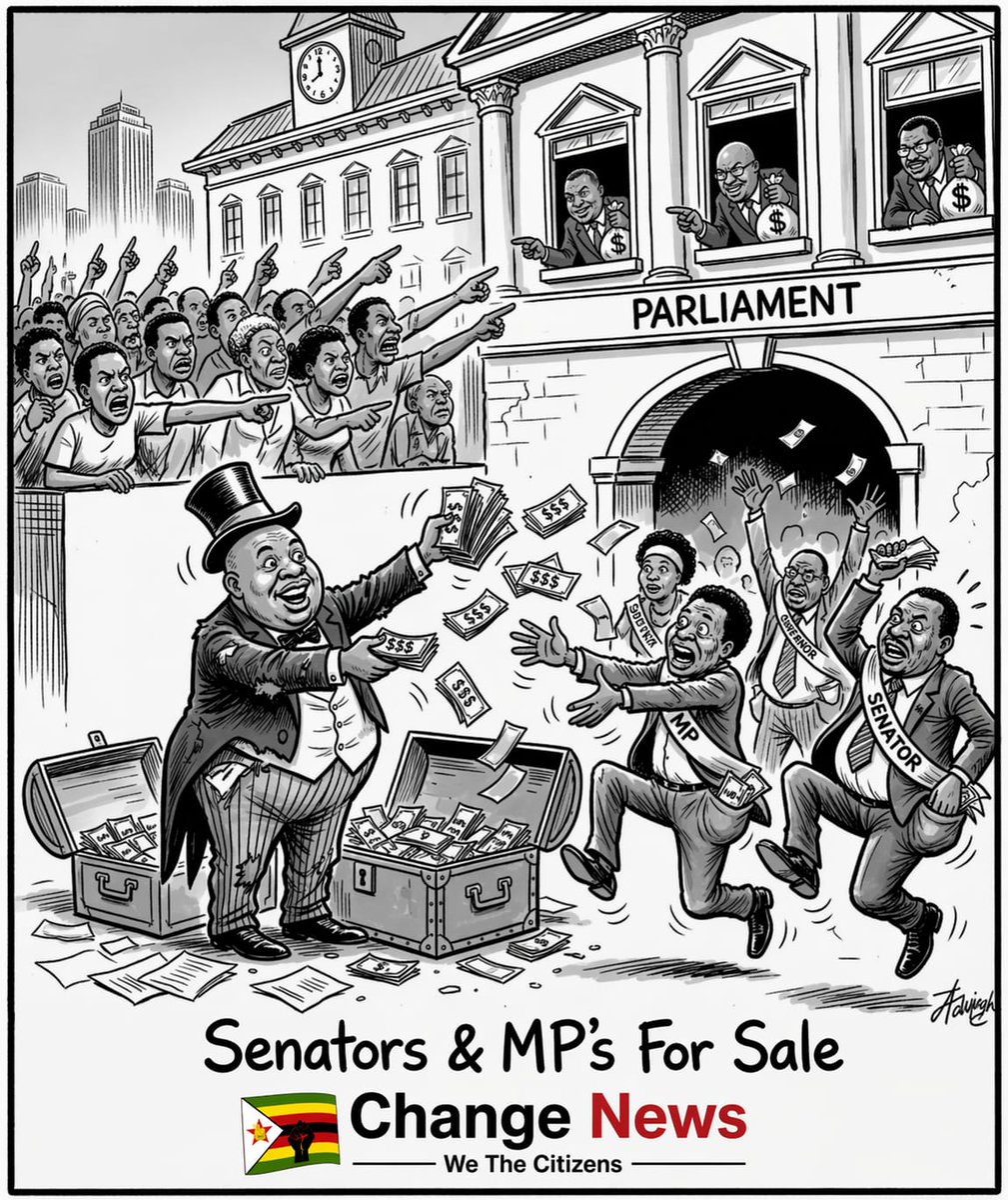 Jacob Ngarivhume tweet media