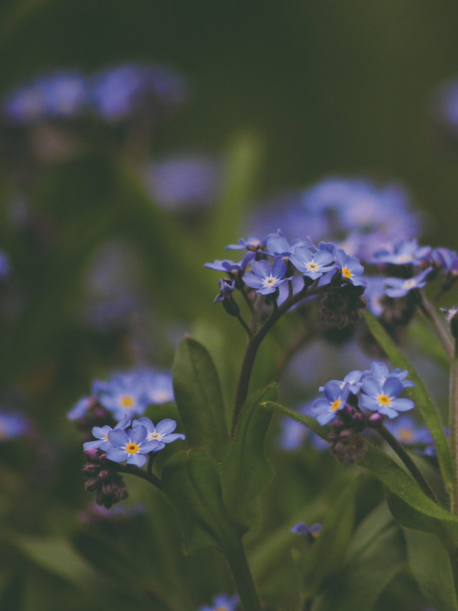 Katja 🌿 tweet media