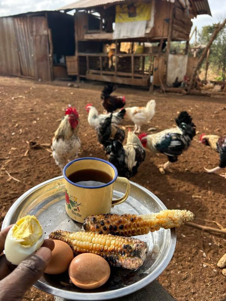 Farm With Fred tweet media