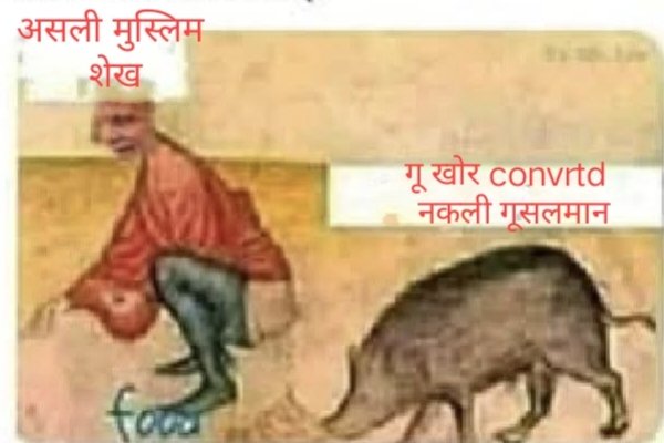 Shail Sara tweet media