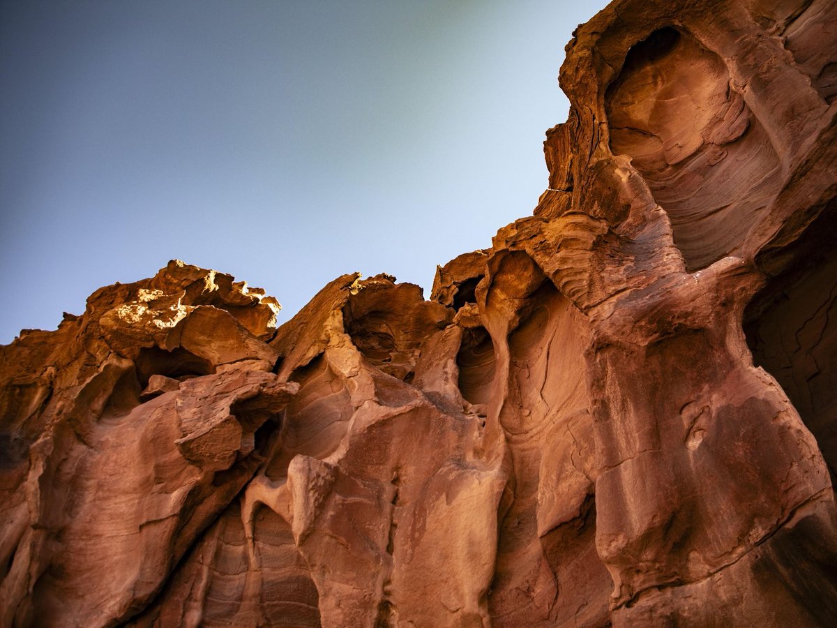VisitJordanAR's tweet photo. في يوم الأرض، نحتفل بتنوع بيئتنا الفريدة التي تجعل من الأردن لوحة طبيعية لا تتكرر. 🌍
اكتشفوا وجهاتنا واستمتعوا بتفاصيلها، لنحميها اليوم ونحفظها للأجيال القادمة.

#مملكة_الزمن #زوروا_الأردن #حب_الأردن #الأردن https://t.co/6m36Geyfjh