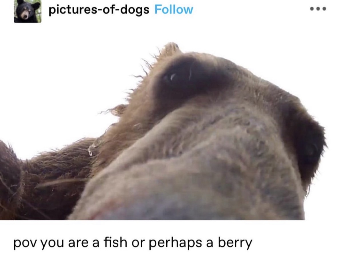 Respectful Memes tweet media