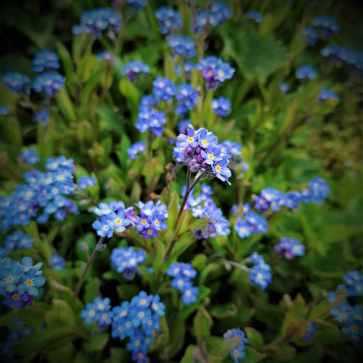 Katja 🌿 tweet media