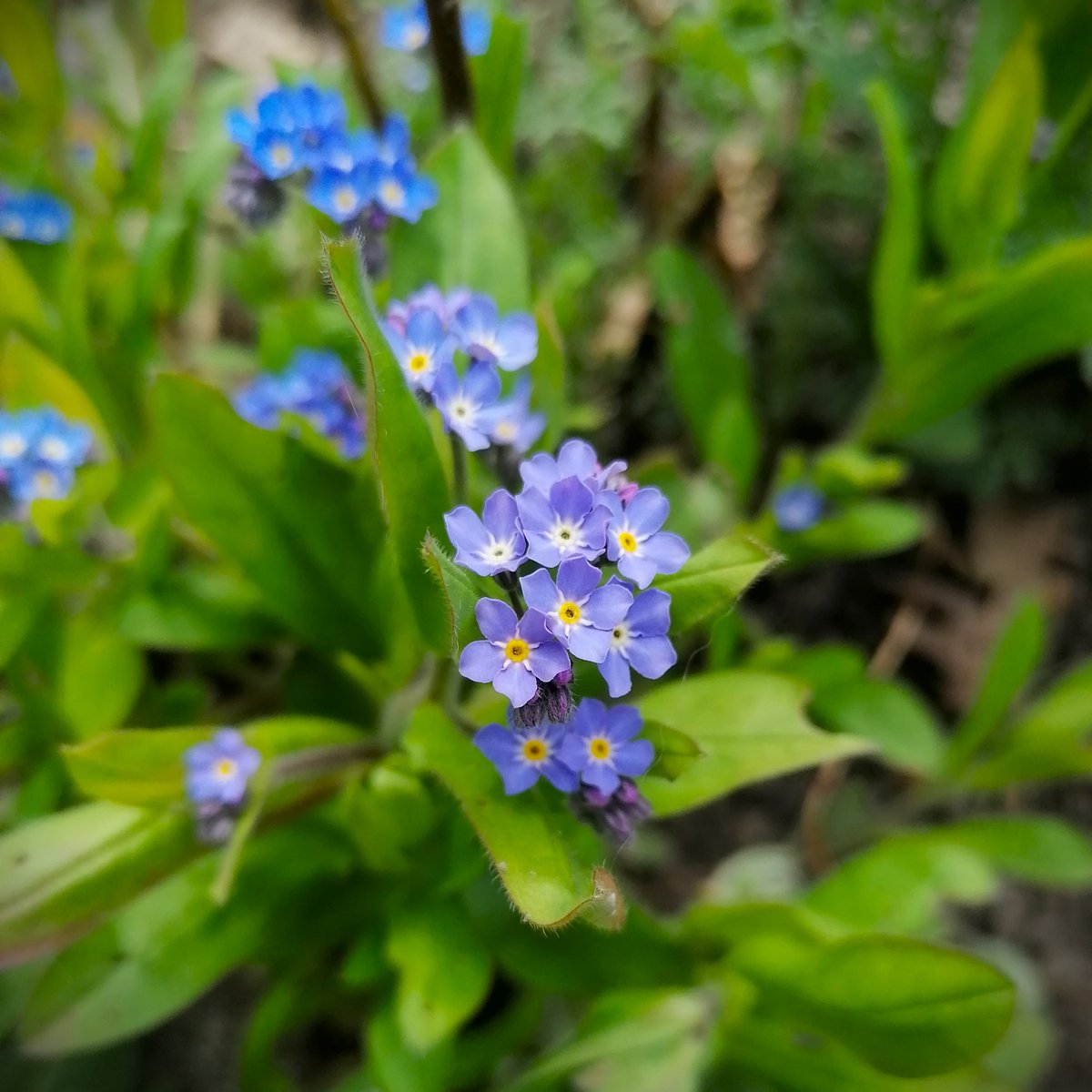 Katja 🌿 tweet media