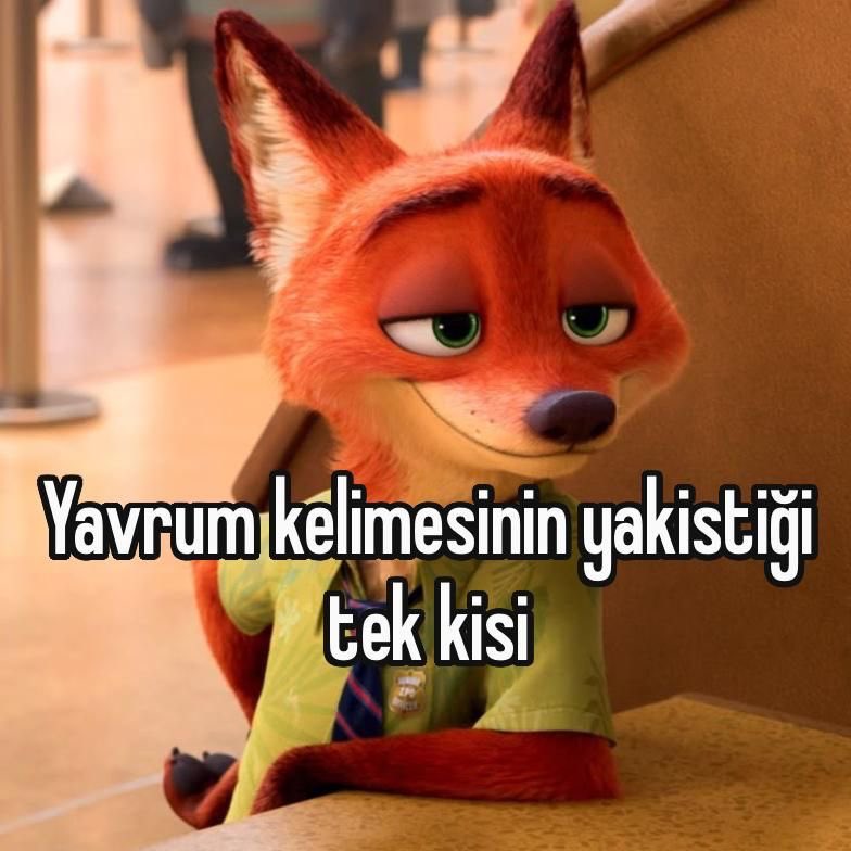 ᴅᴇsᴛᴀɴsıᴢ ᴇʙʀᴜ tweet media