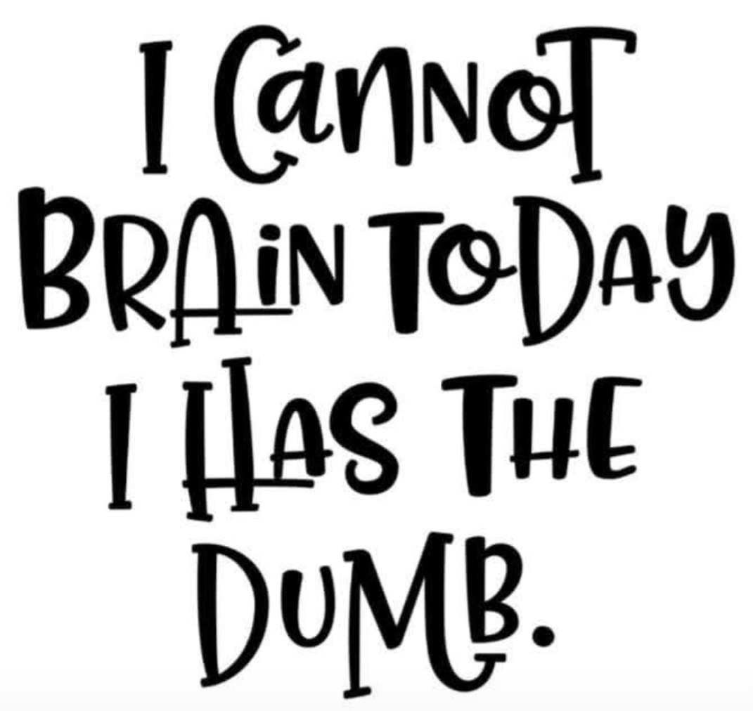 🦋 Amy 🦋 tweet media