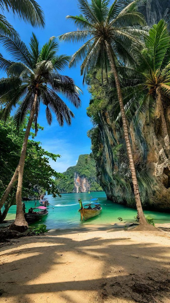 Vibrant Aesthetics tweet media