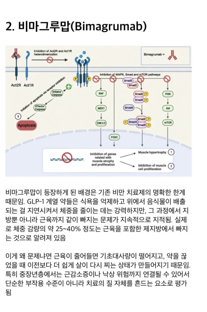 마리나 tweet media
