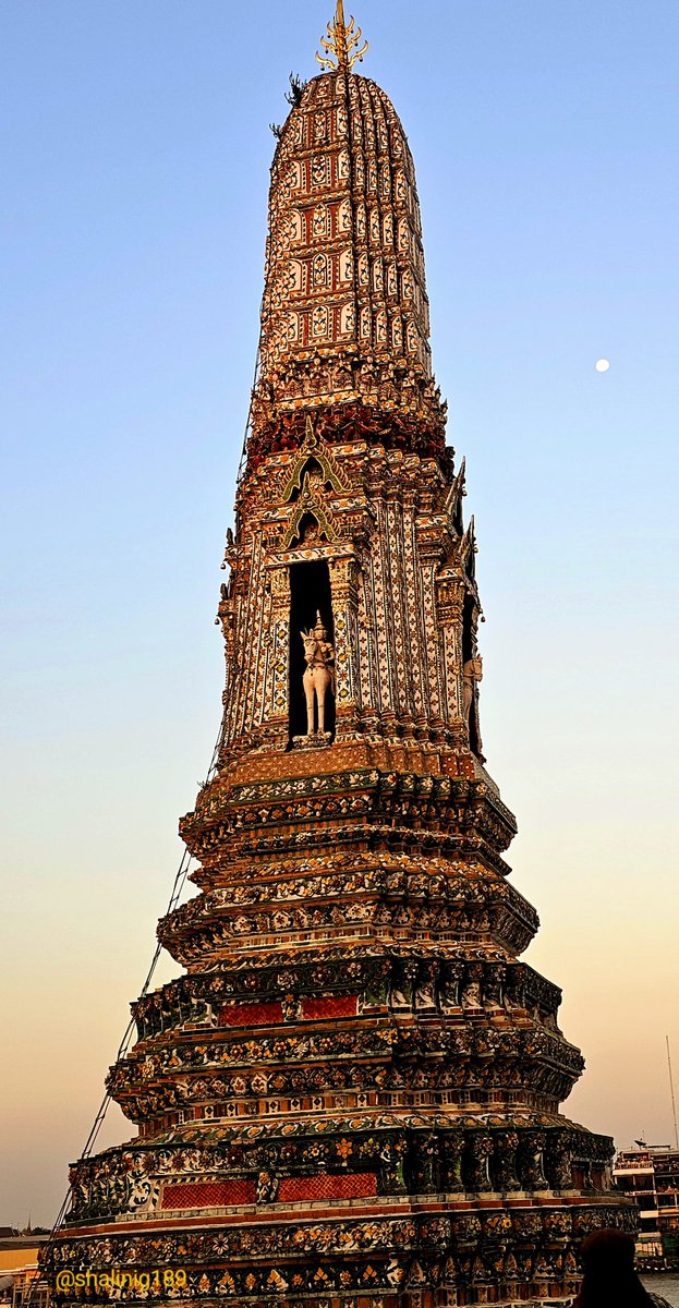 🌷Tulip tweet media