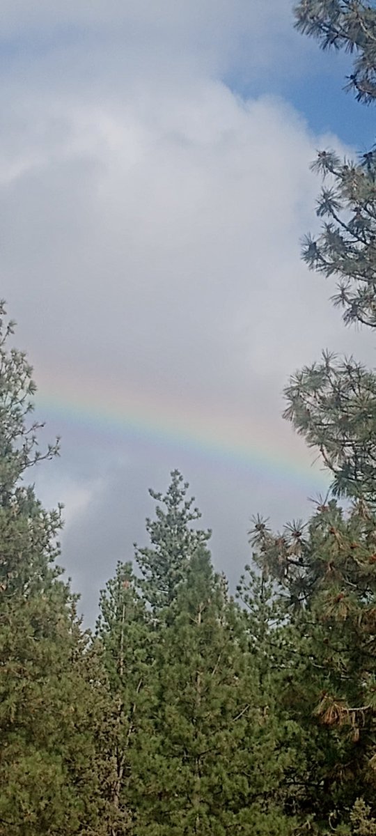 JesusWept_4us's tweet image. The education step, is part of the streets made to confirm the directions taken,,..
Beliefs don't materialize until the destination has become part of the wisdom used to arrive.

#wisdom 
@JesusWept_4us