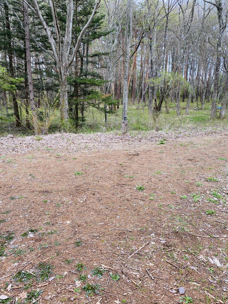 ダー様 tweet media