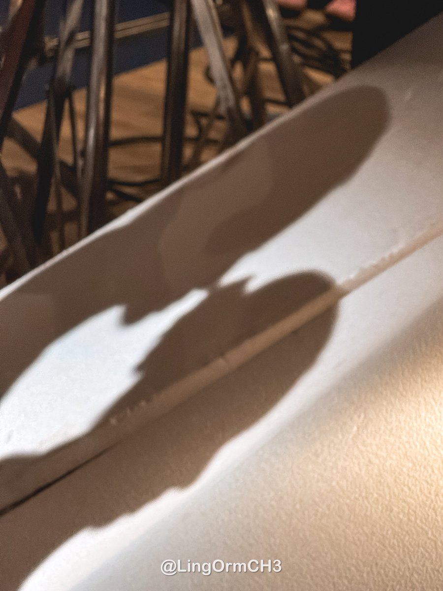 อิฉันเองค่ะ 🌷 𝐍𝐢𝐤𝐚" 💫 tweet media