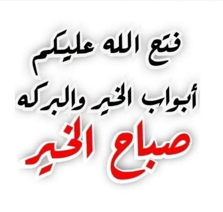 abdalla abdalla tweet media