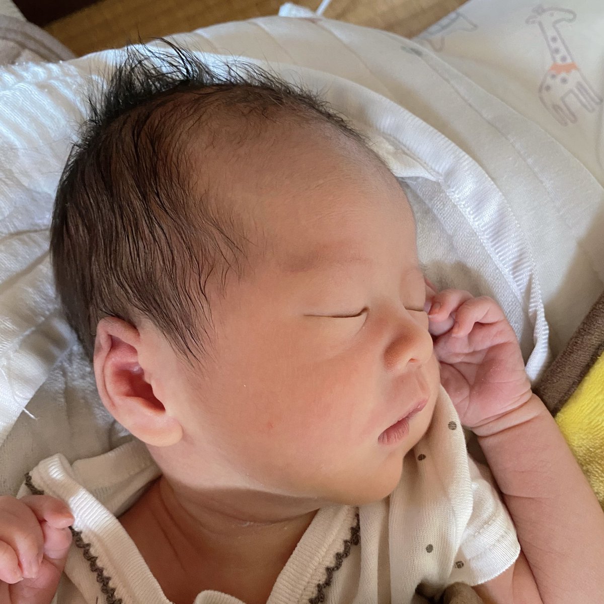 自分の息子かっこええなーとwww🇯🇵🇹🇭