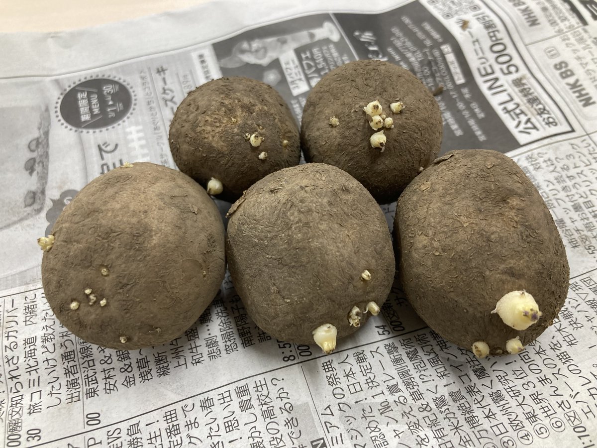 CalbeePotato(カルビーポテト)公式 tweet media