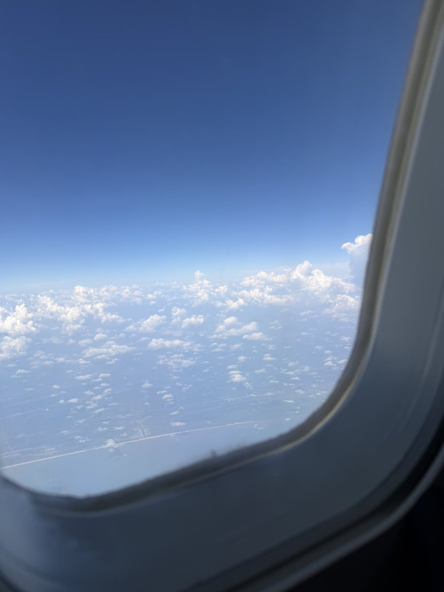 Rophy - UI/UX designer✨ tweet media