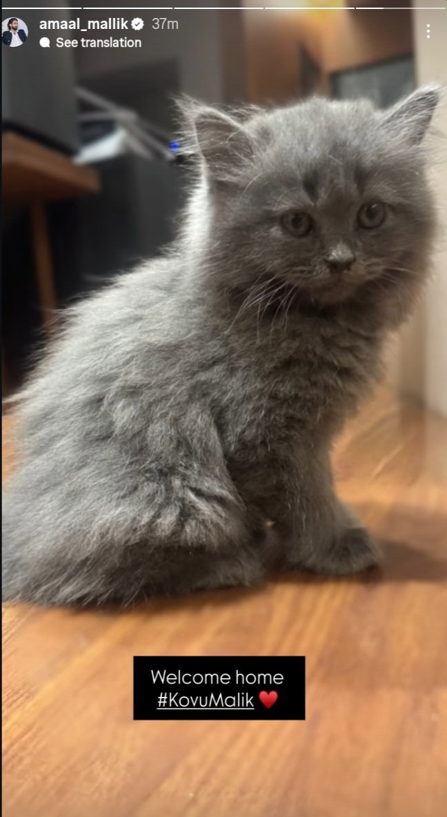 Anupriya👩‍💻 | Factstrom tweet media