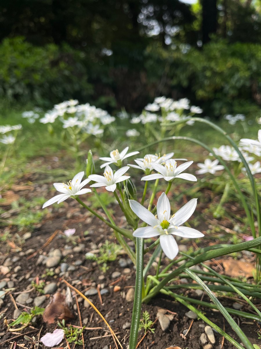 藤原季節　kisetsu fujiwara tweet media