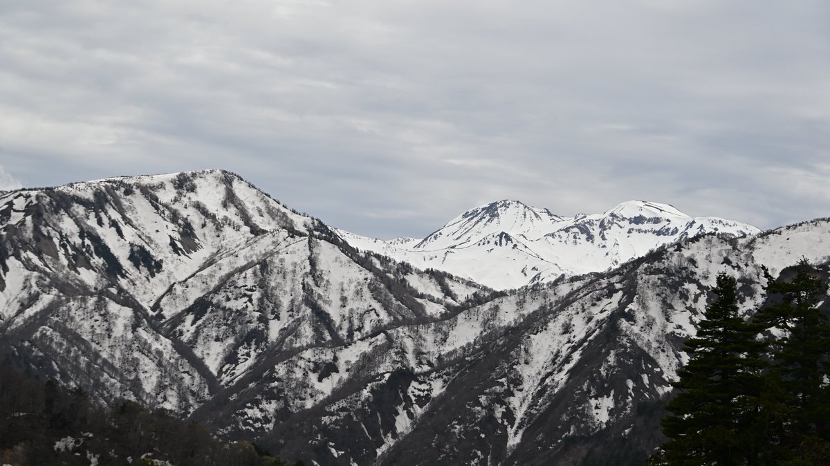 白山白川郷ホワイトロード【公式】 tweet media