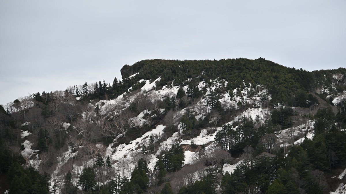 白山白川郷ホワイトロード【公式】 tweet media
