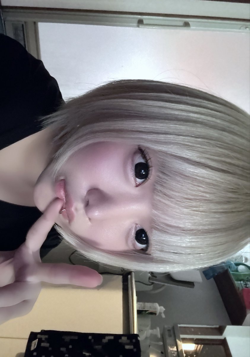 みみ tweet media
