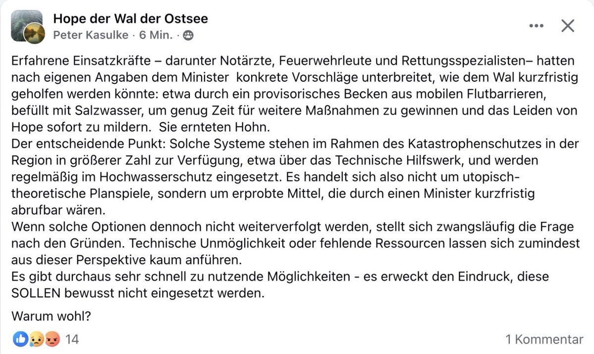 Lena Agemro tweet media