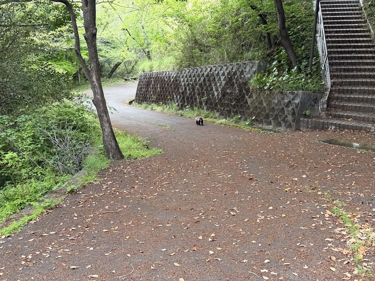 ゆっくりトラベル‼︎ tweet media