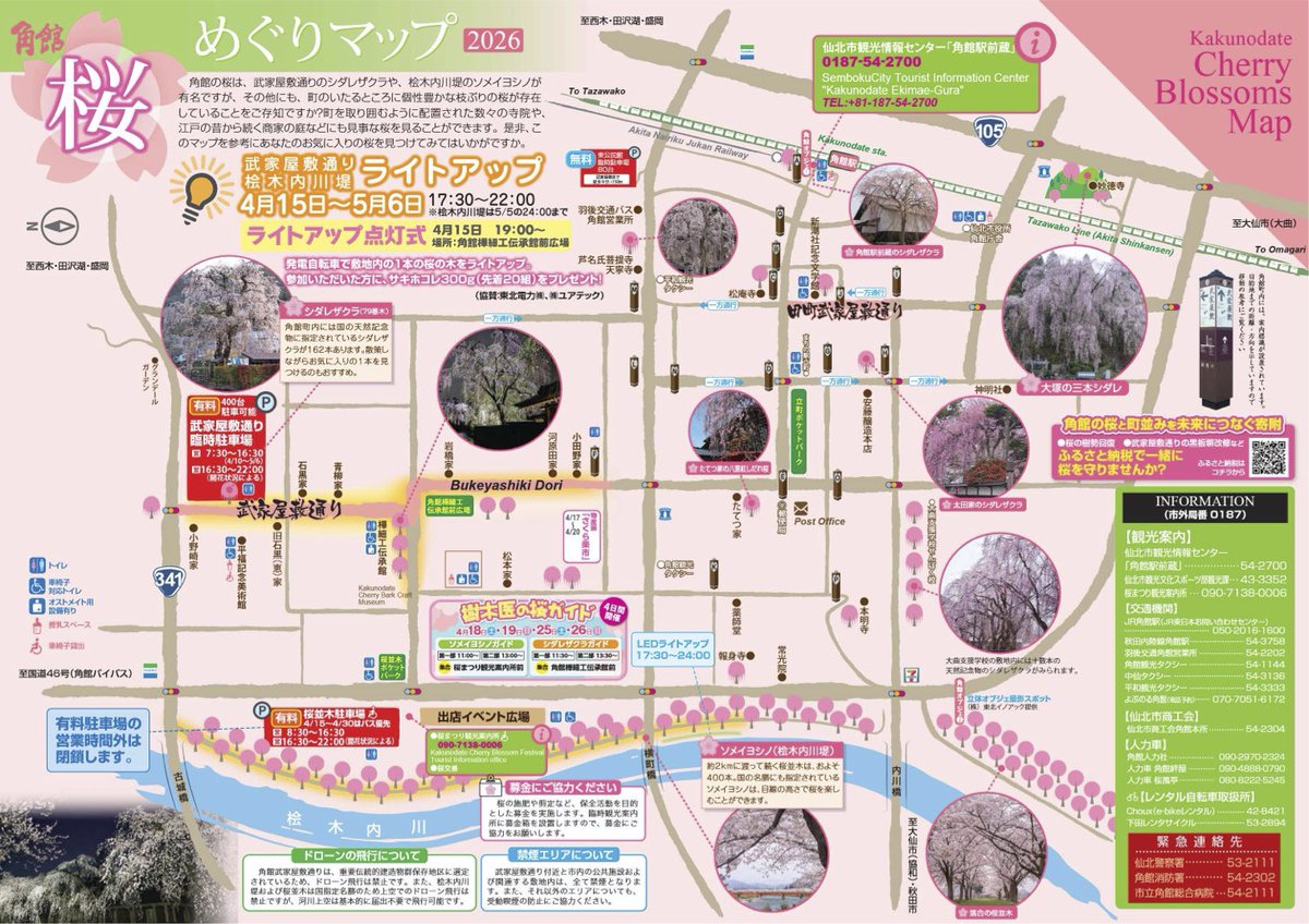 semboku_tourism's tweet photo. 【桜を一緒に守りませんか🌸】
桜の保全を目的とした募金箱を下記3箇所に設置しております✨

︎✿桜まつり観光案内所
︎✿角館樺細工伝承館
✿仙北市観光情報センター｢角館駅前蔵｣

皆さまのご協力をよろしくお願いします😌 https://t.co/jZBaD3h5RP