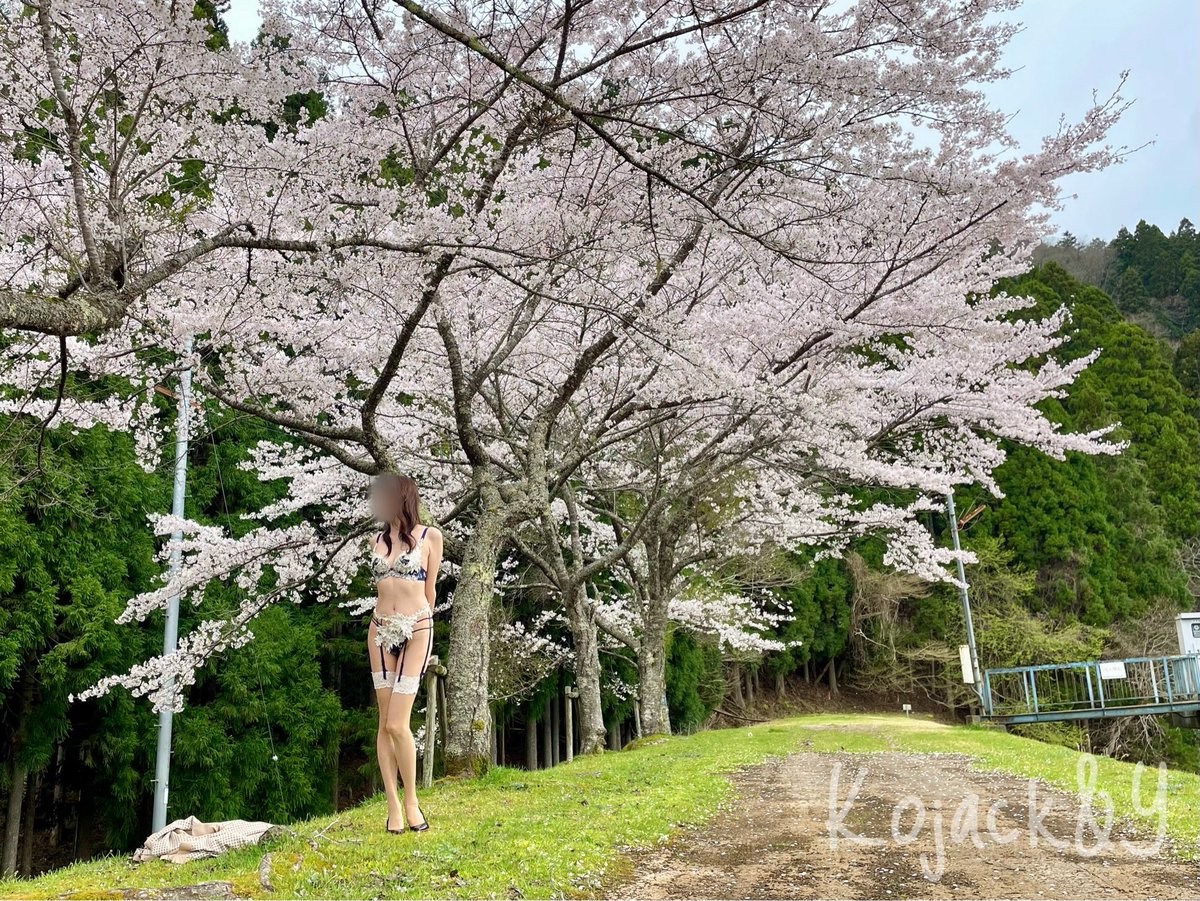 Kojack&Y tweet media