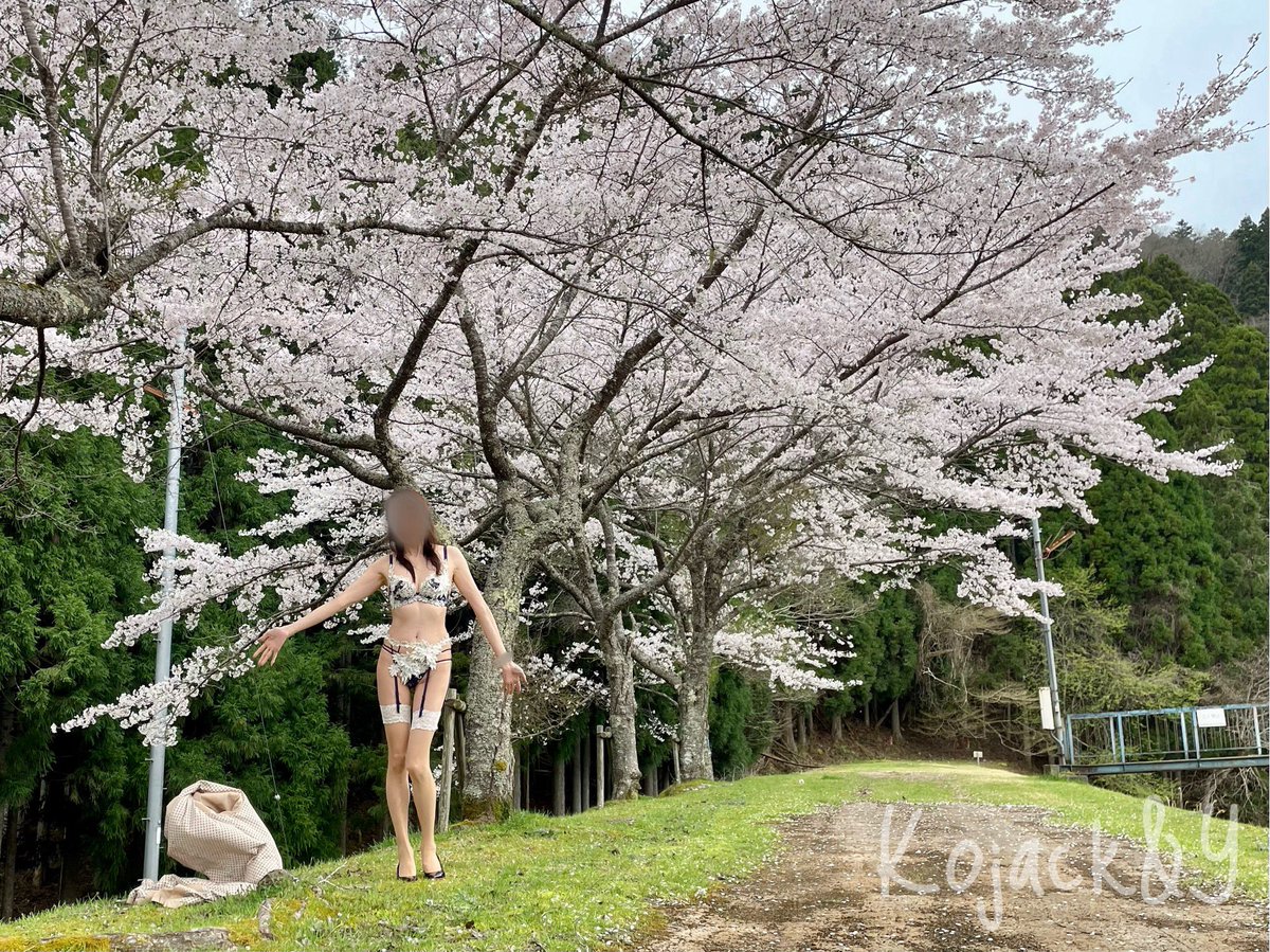 Kojack&Y tweet media