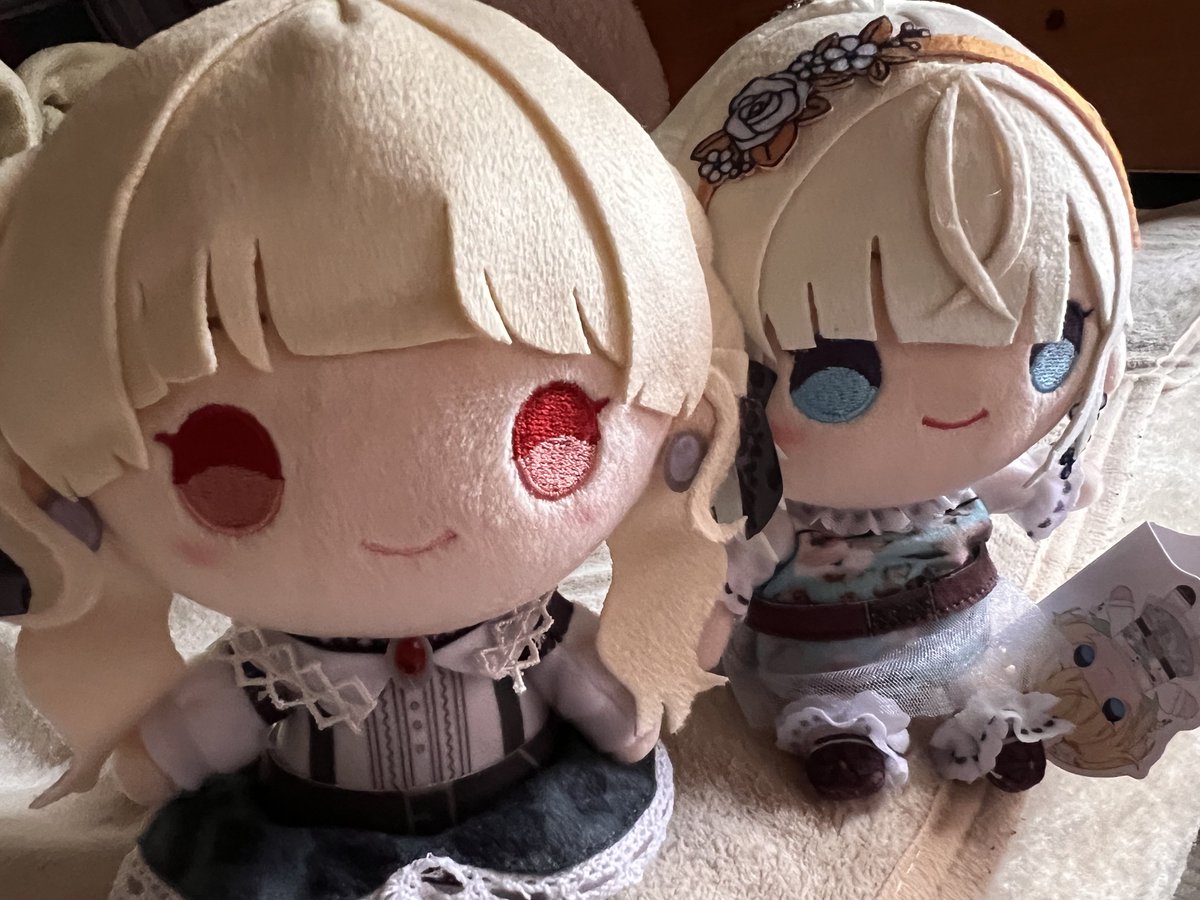 Rin_TtEm's tweet photo. ととちとエマたそのミニぬい届いた〜！
マジ可愛いすぎる…!!
サイズ感もちょうど良くてこれは色んなとこに連れて歩きたくなるね〜☺️
#小雀とと 
#藍沢エマ https://t.co/HO6gZxZGaL