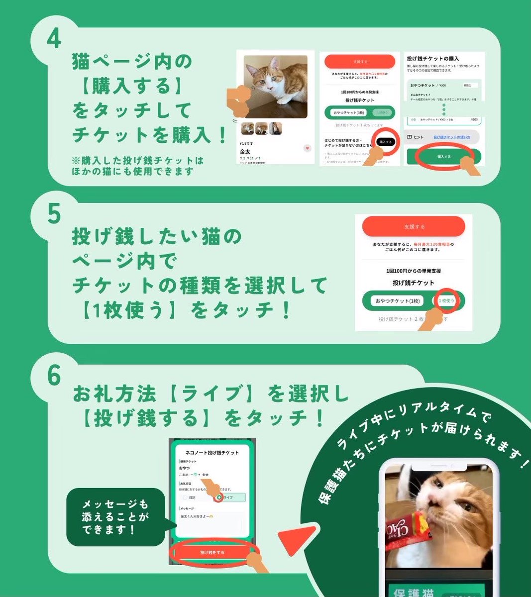 ネコノート【公式】保護猫支援サービス🐈 tweet media