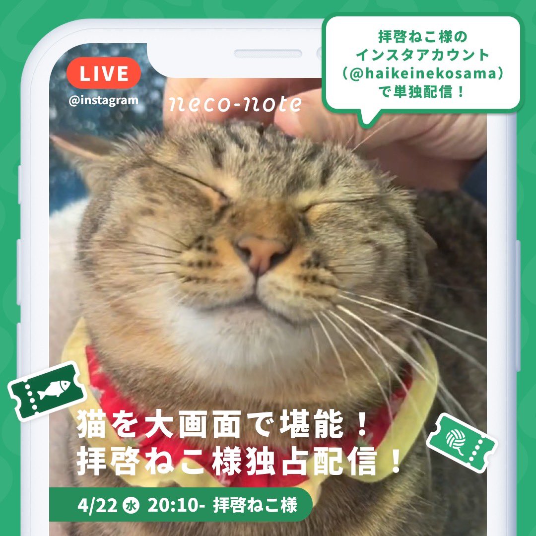 ネコノート【公式】保護猫支援サービス🐈 tweet media