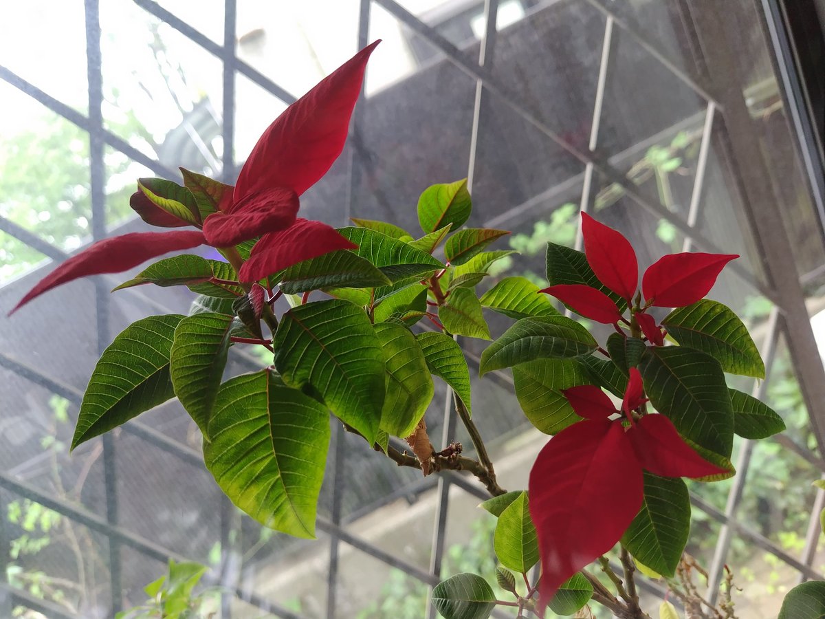 た～みっち tweet media