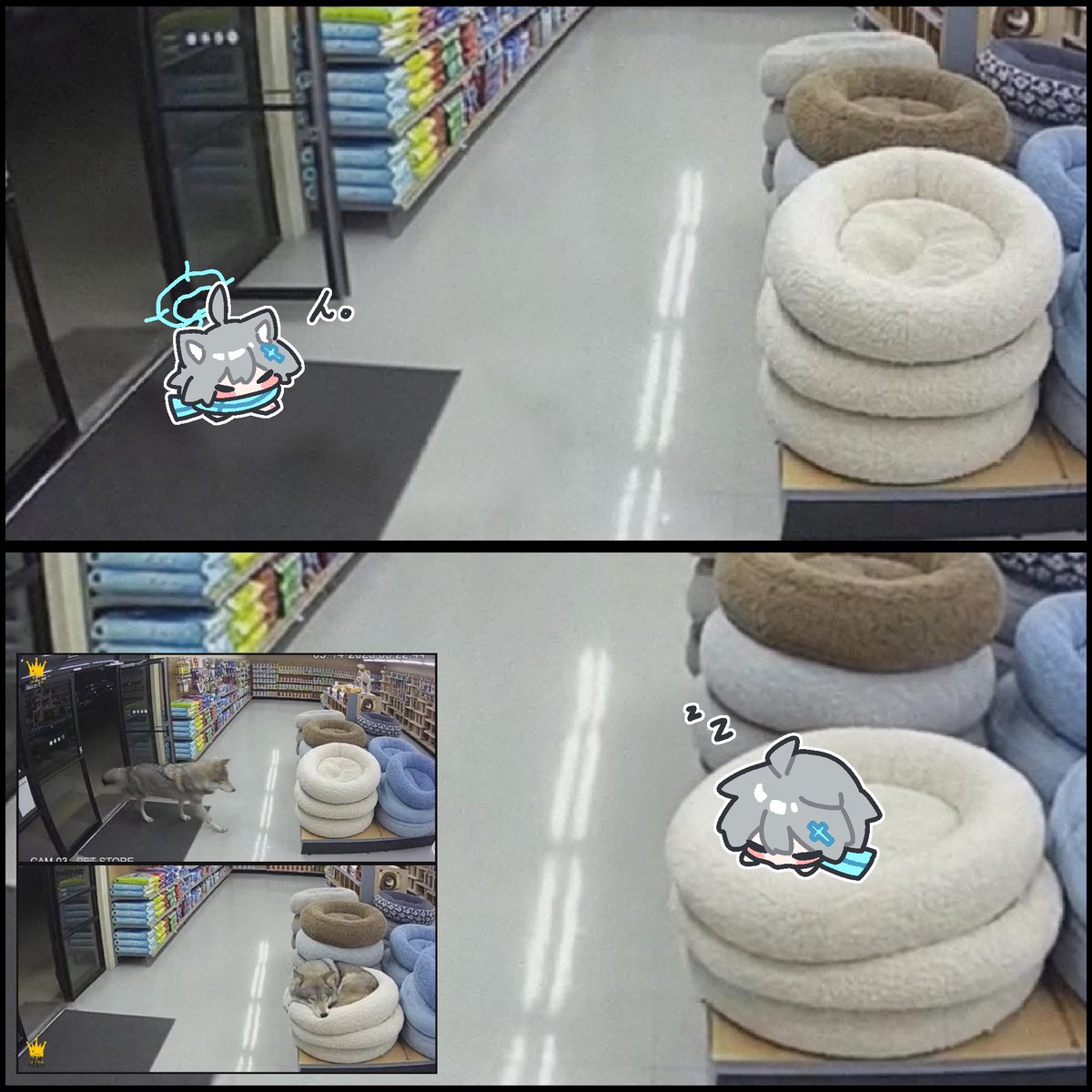 イシコロ/fevercell tweet media