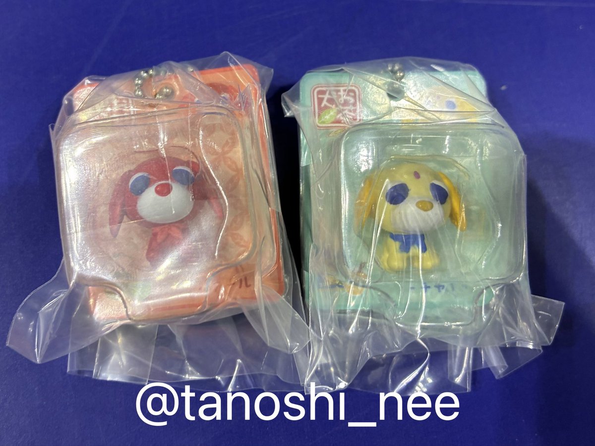 たのしいね tweet media