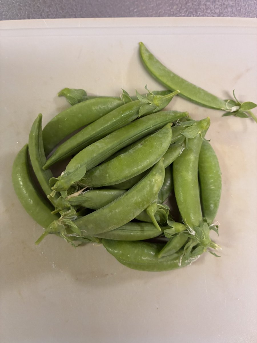 たぁはい tweet media