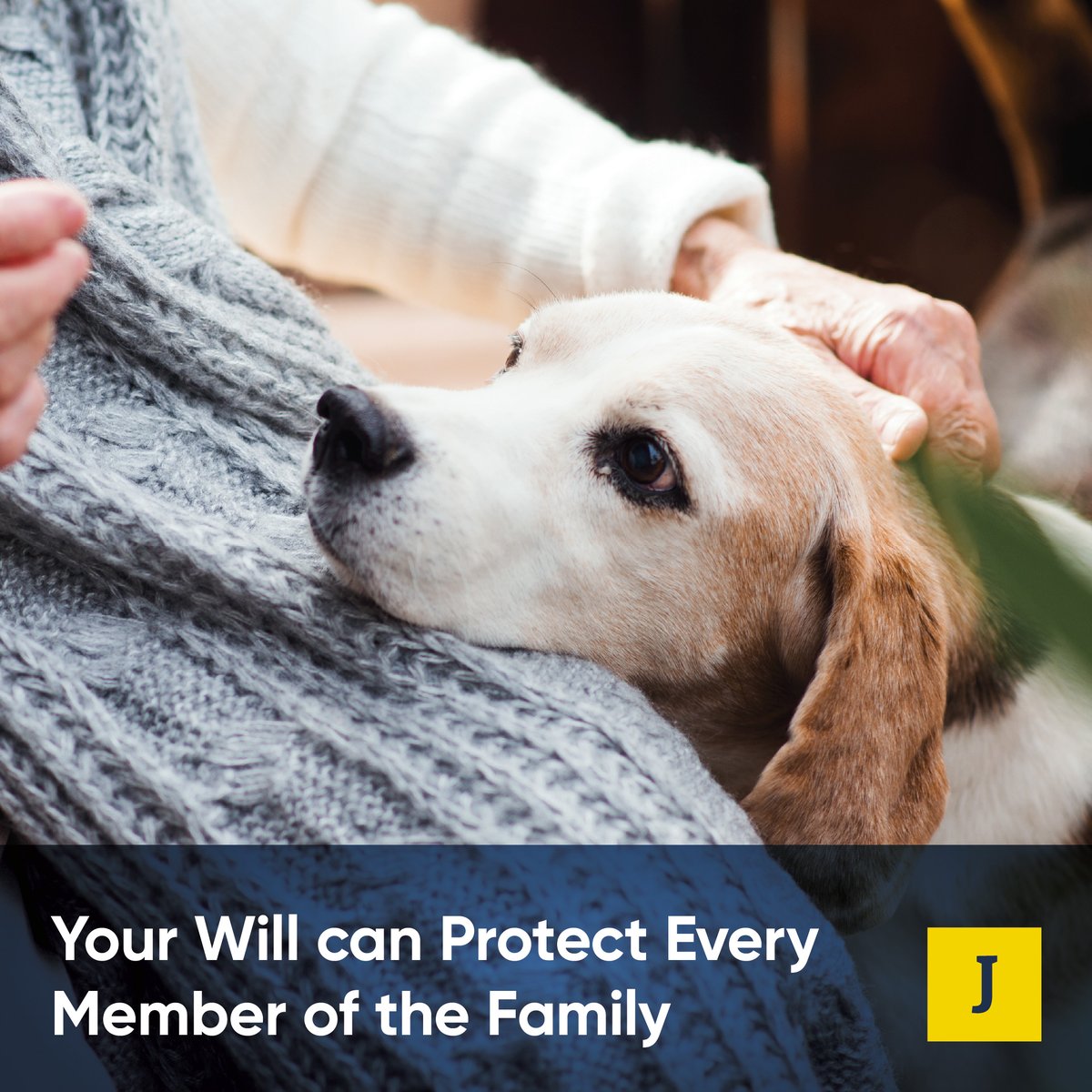 jefferiesuk's tweet photo. This National Pet Month, it’s a timely reminder that your pets are part of the family - and their future deserves careful planning too.

Jefferies Solicitors are here to help you put the right arrangements in place.

#WillsAndProbate #EstatePlanning #FamilyFirst #LegalAdvice https://t.co/gIhWlAr97c