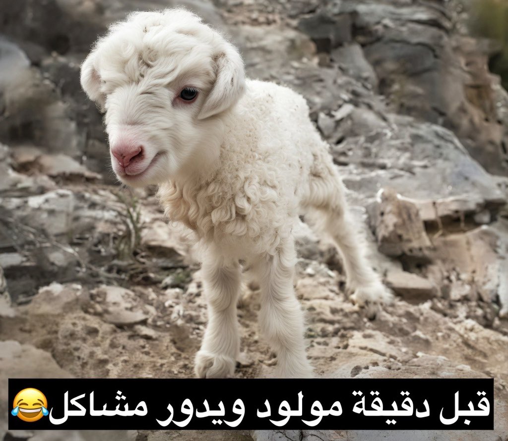 ‏‏ِِ tweet media