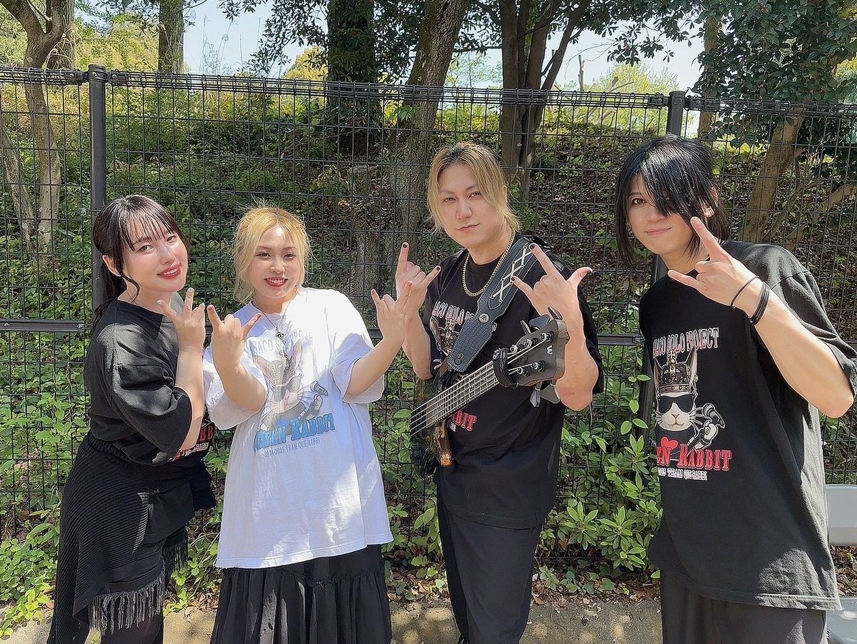 QUEEN RABBIT tweet media